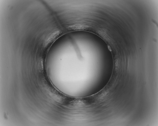 X0000099400254200805151712