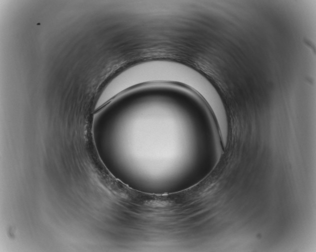 X0000099400255200805151712