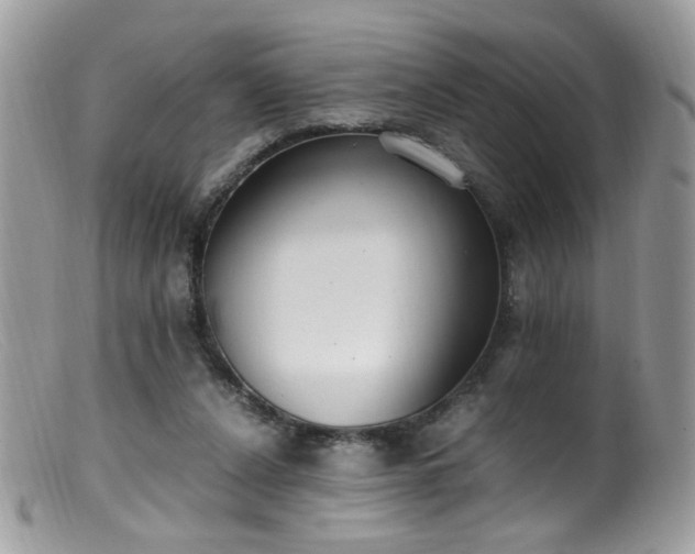 X0000099400256200805151712