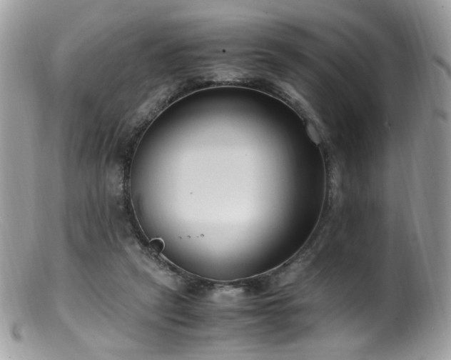 X0000099400257200805151712