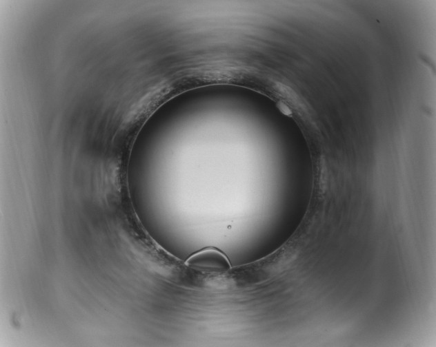 X0000099400258200805151712