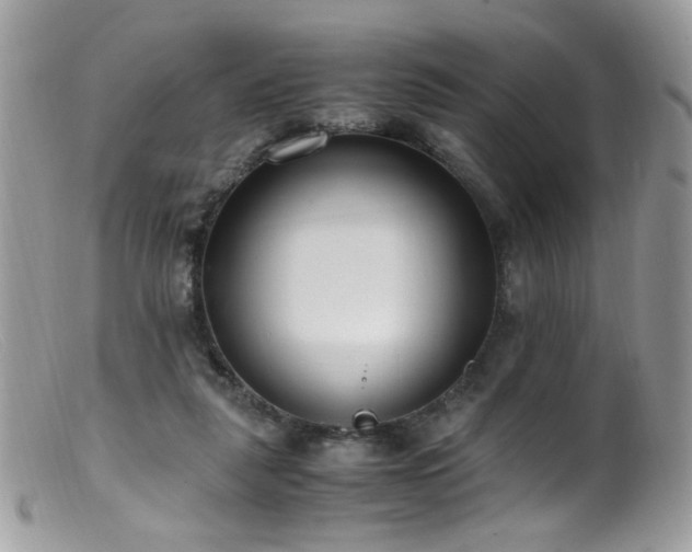 X0000099400259200805151712