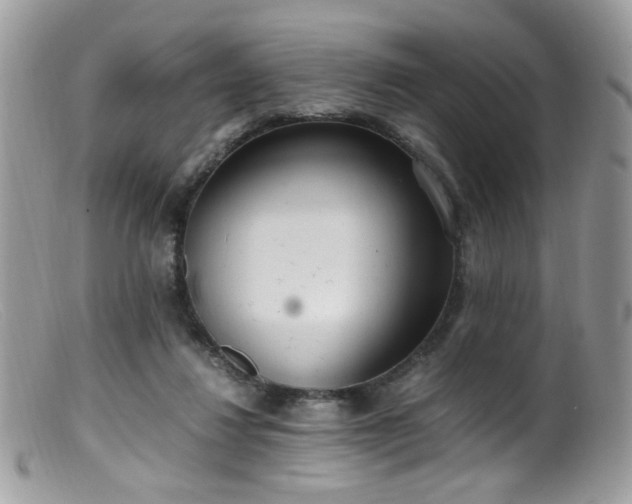 X0000099400260200805151712