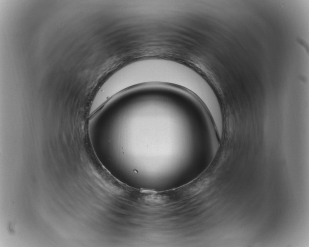 X0000099400261200805151712