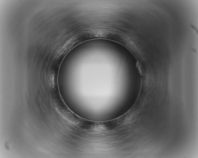 X0000099400262200805151712