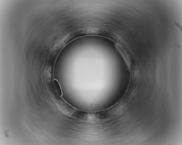 X0000099400264200805151712