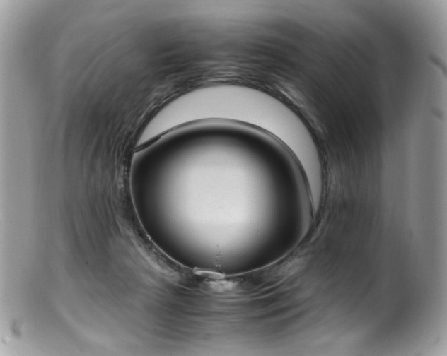 X0000099400265200805151712