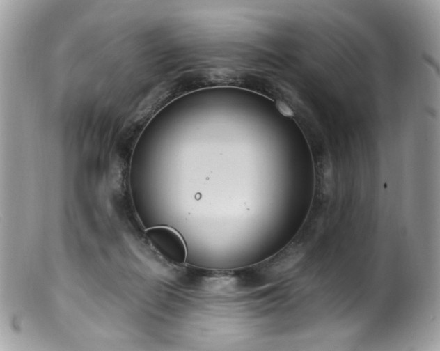 X0000099400266200805151712