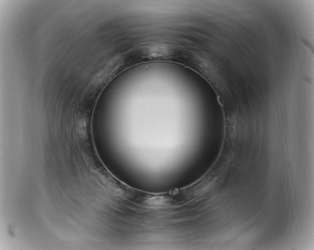 X0000099400269200805151712