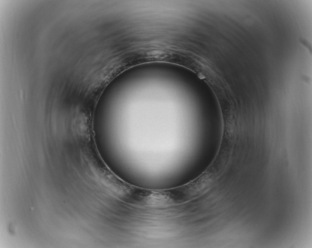 X0000099400270200805151712