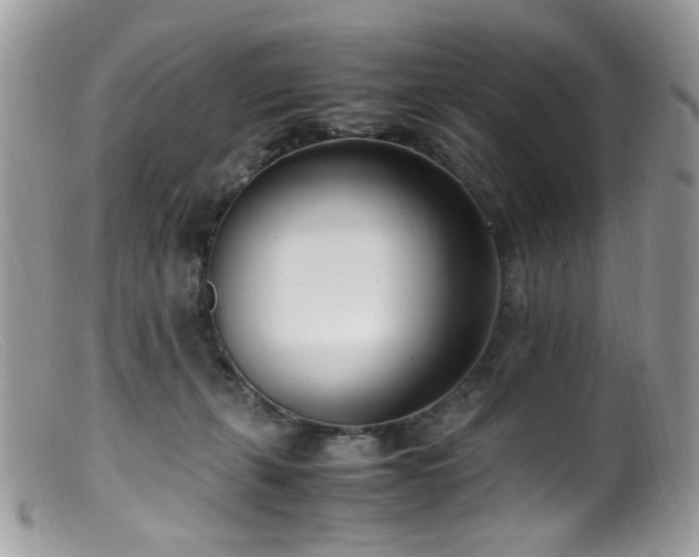 X0000099400271200805151712