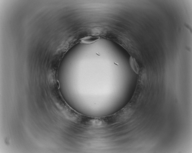 X0000099400272200805151712