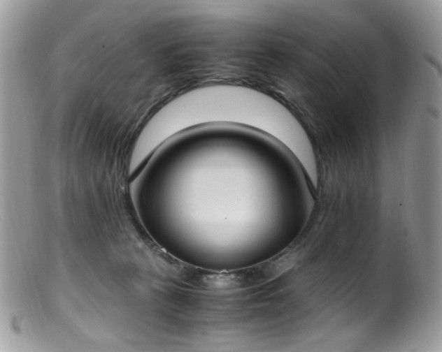 X0000099400273200805151712