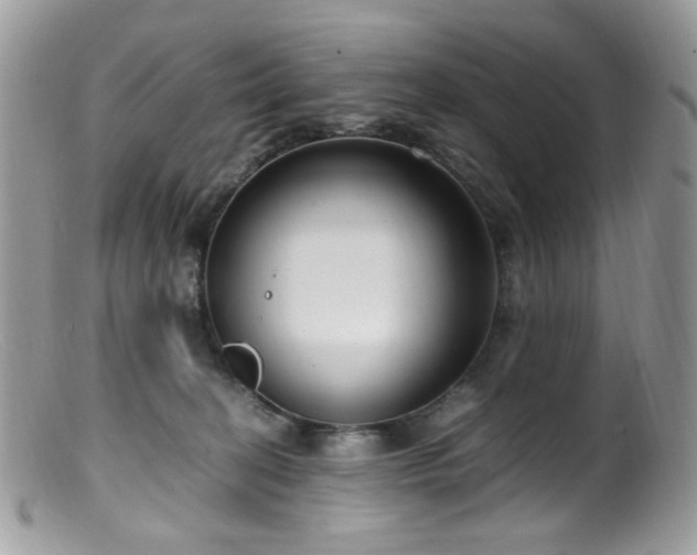 X0000099400274200805151712