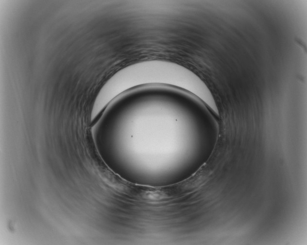 X0000099400275200805151712