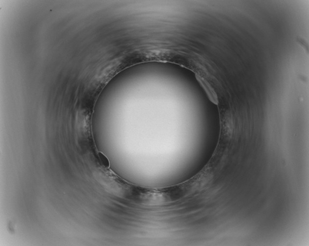 X0000099400276200805151712