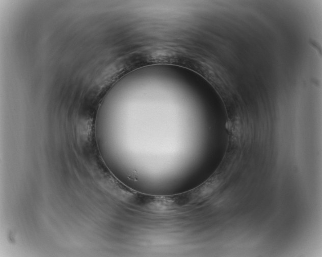 X0000099400278200805151712