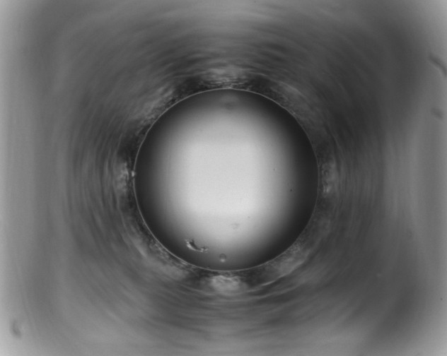 X0000099400279200805151712