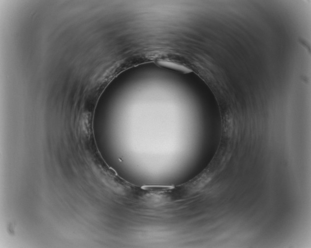 X0000099400280200805151712