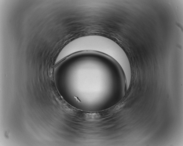 X0000099400281200805151712