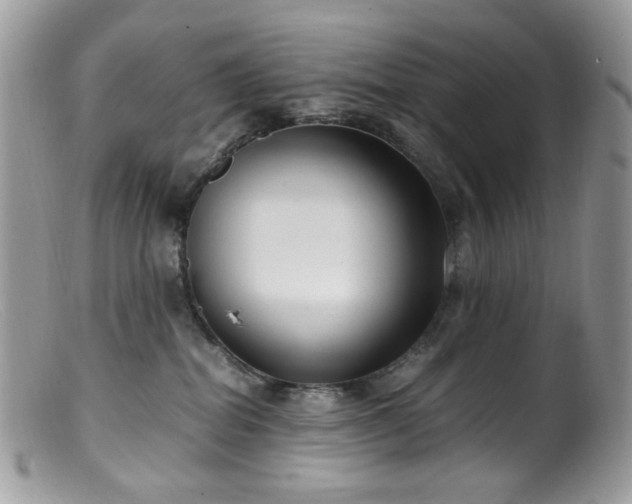 X0000099400282200805151712