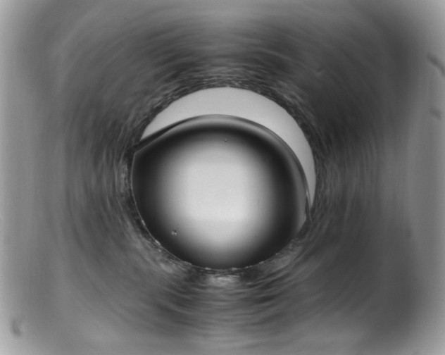 X0000099400283200805151712