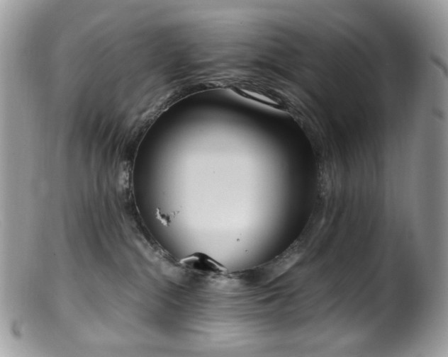 X0000099400284200805151712