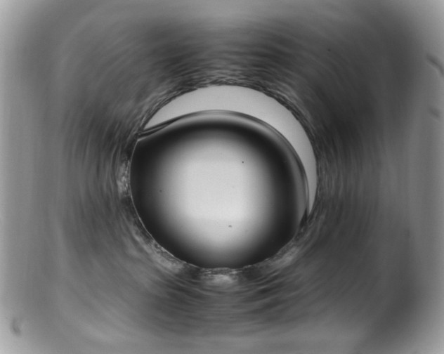 X0000099400285200805151712