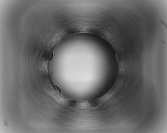 X0000099400286200805151712