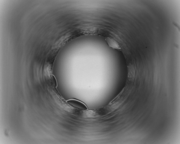 X0000099400287200805151712