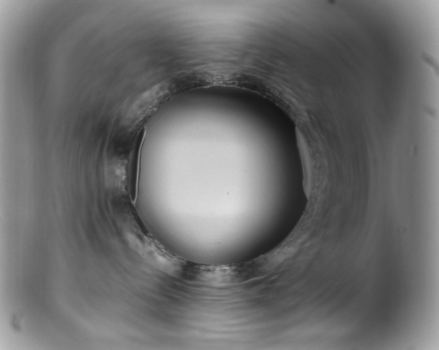 X0000099400288200805151712