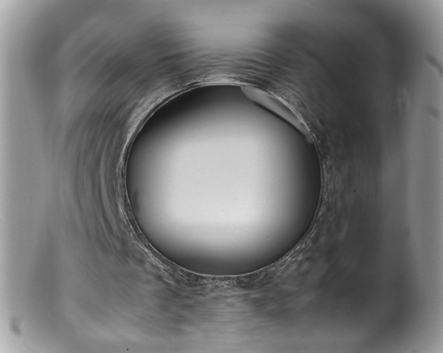 X0000099400289200805151712