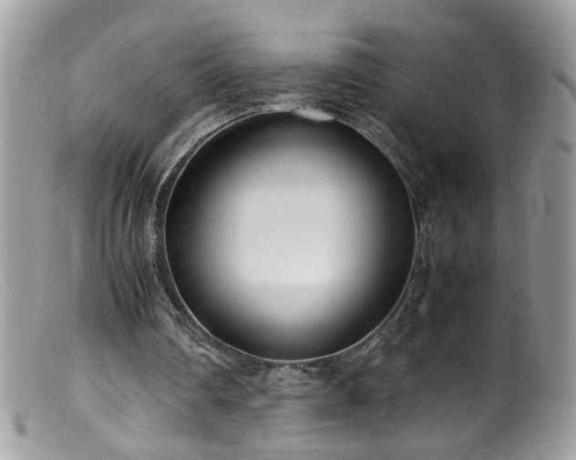 X0000099400290200805151712