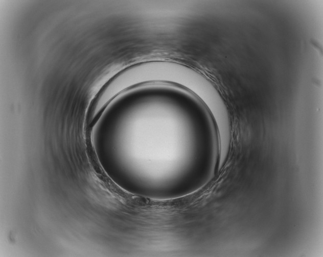 X0000099400292200805151712