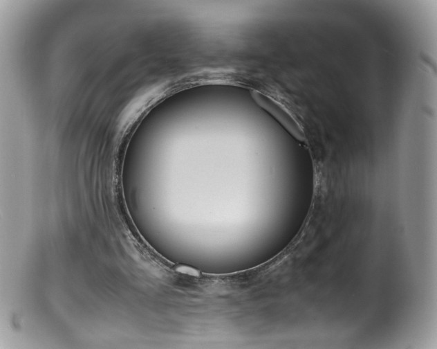 X0000099400293200805151712