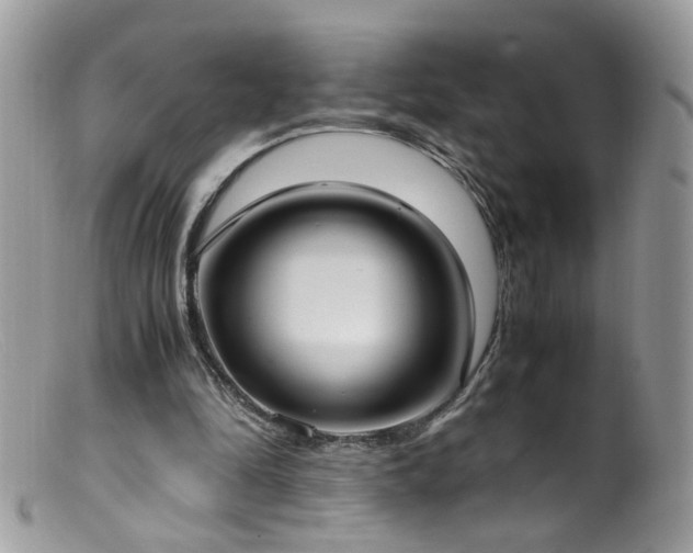 X0000099400294200805151712