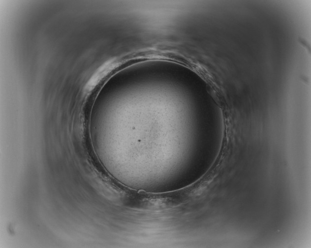 X0000099400295200805151712