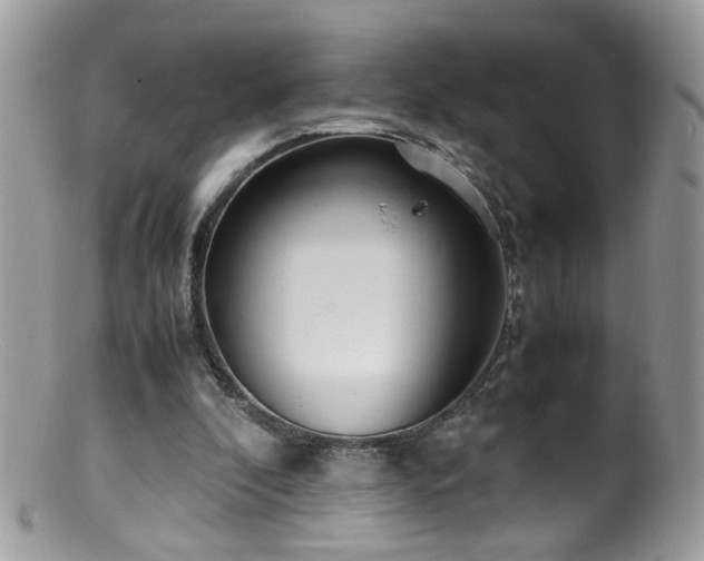 X0000099400296200805151712