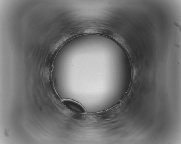 X0000099400297200805151712