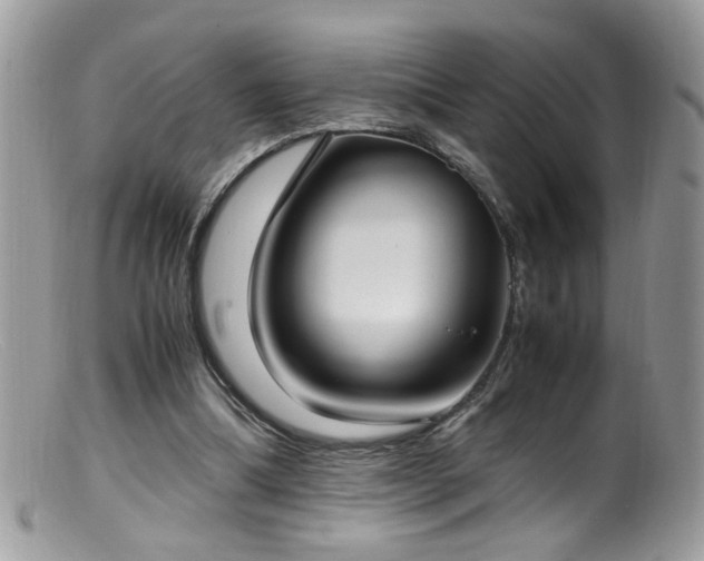 X0000099400298200805151712