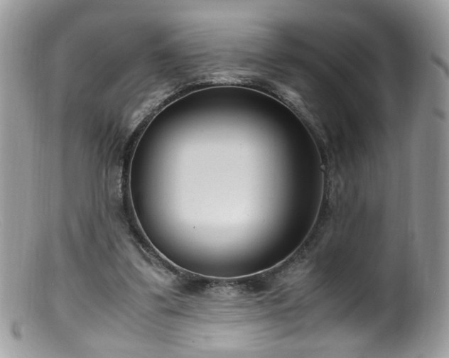 X0000099400299200805151712