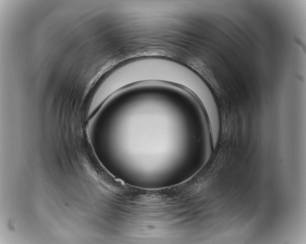 X0000099400300200805151712