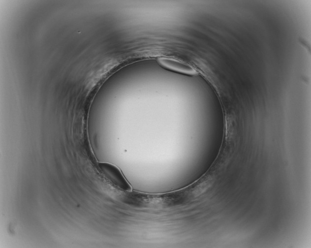 X0000099400301200805151712