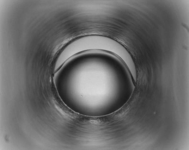 X0000099400302200805151711