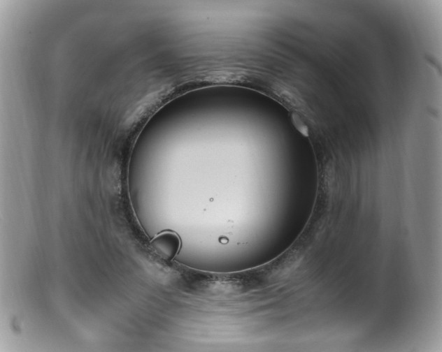 X0000099400303200805151711