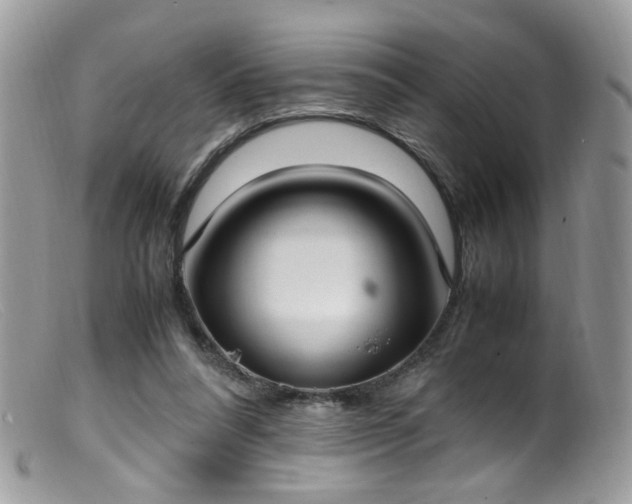 X0000099400304200805151711