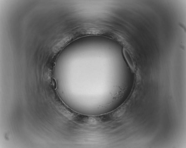 X0000099400305200805151711