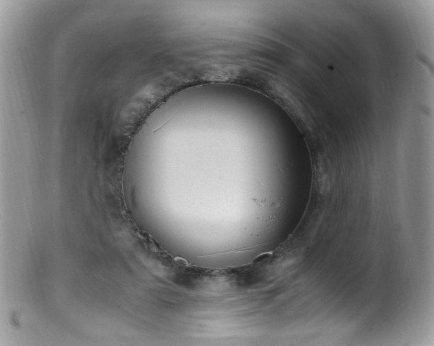 X0000099400307200805151711