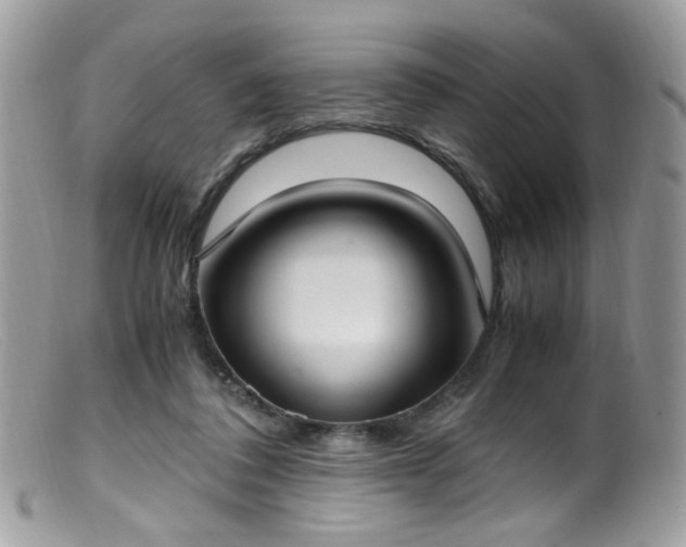 X0000099400308200805151711