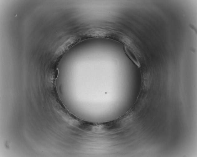 X0000099400309200805151711